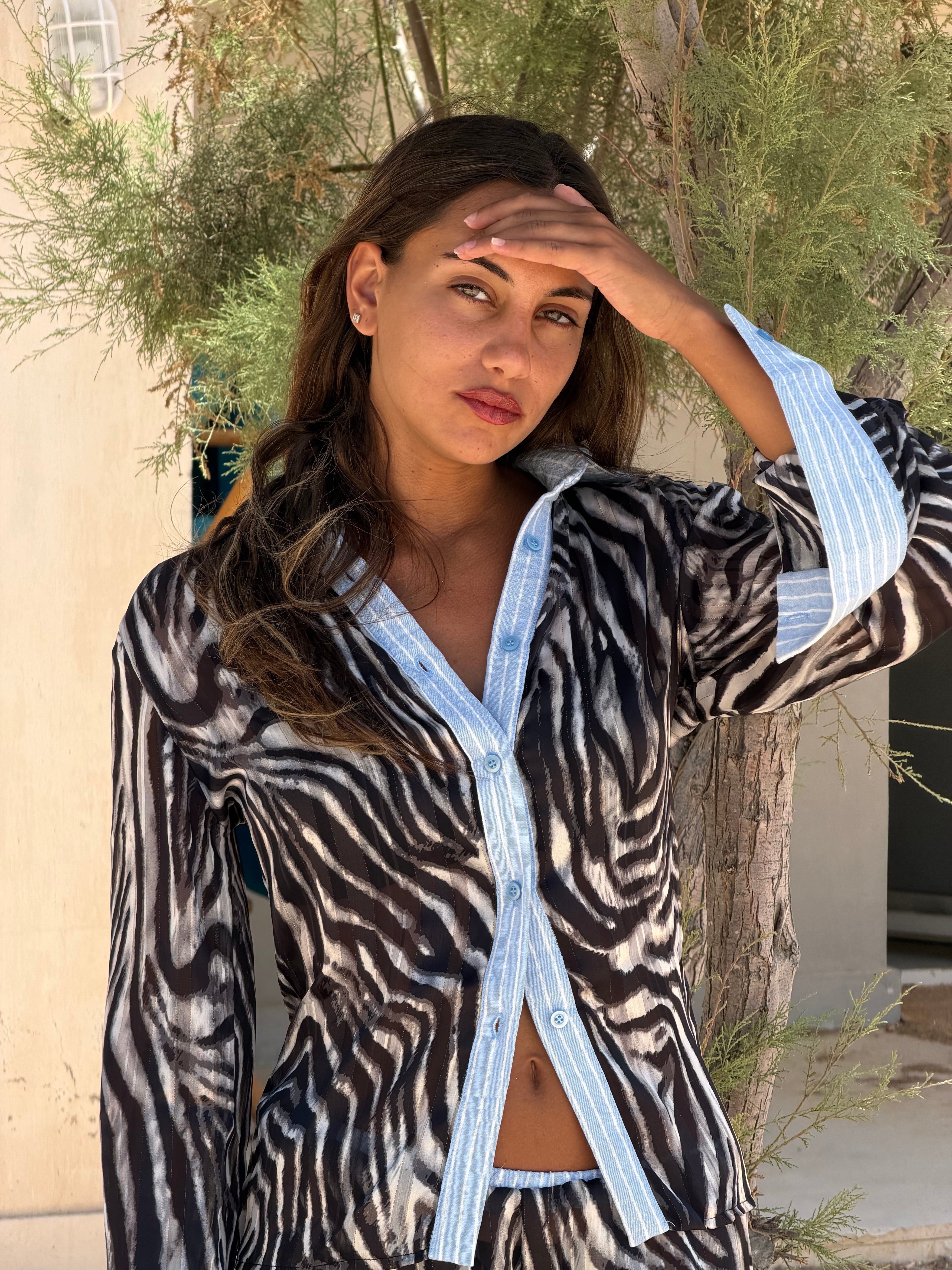 The Zebra Wave Set