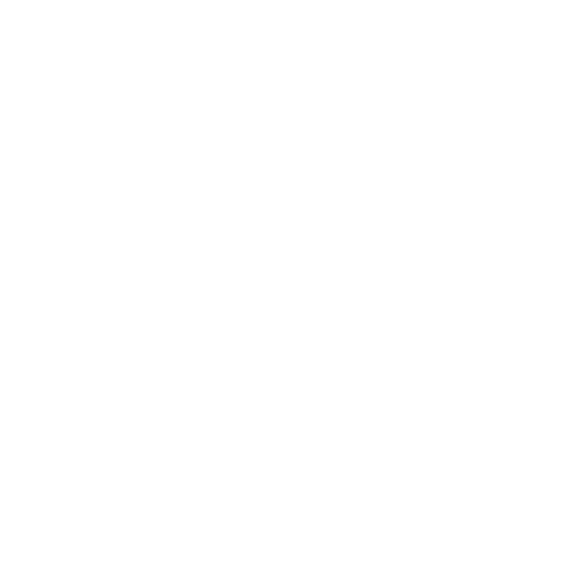 BAZIC